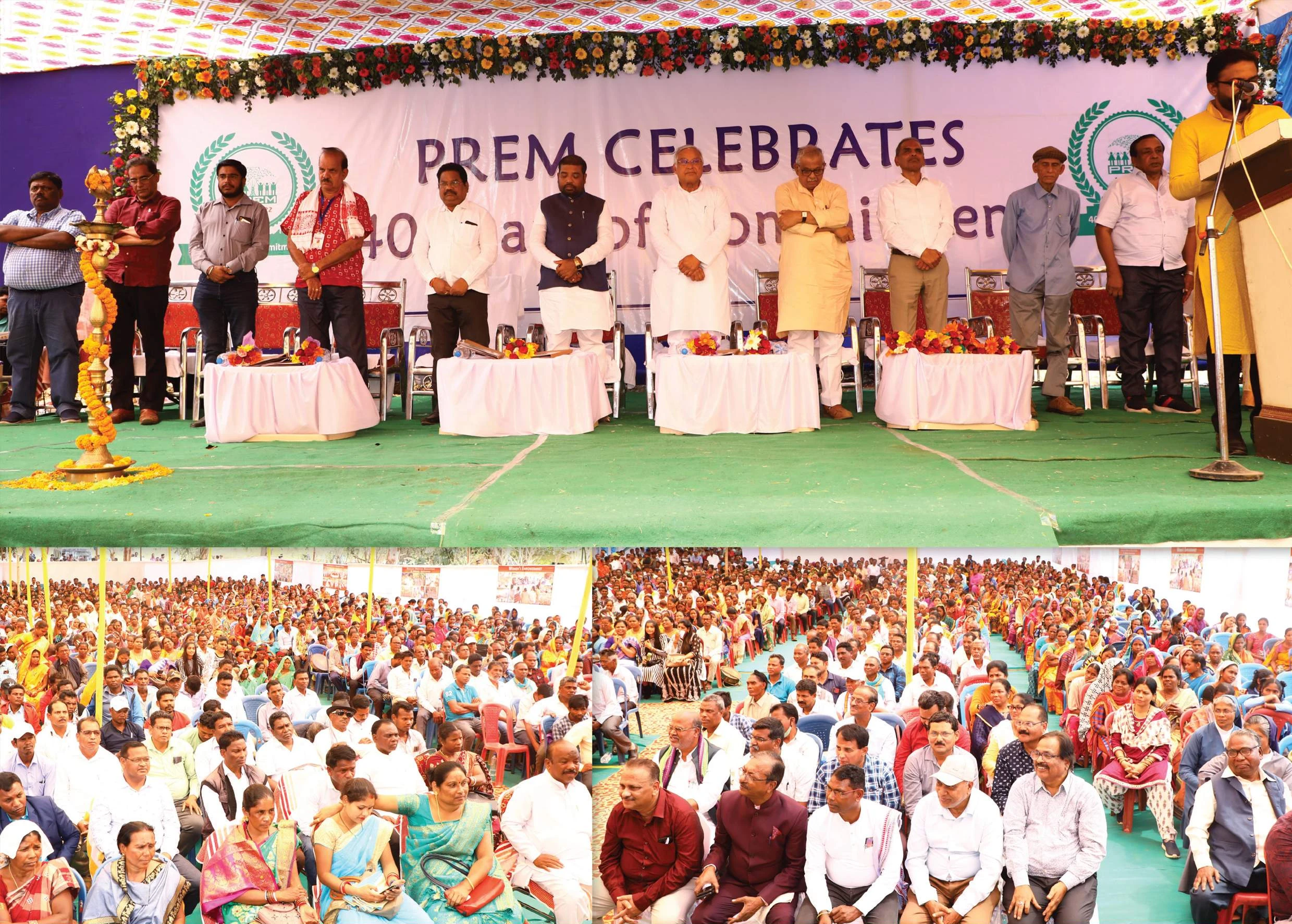 About PREM summary image